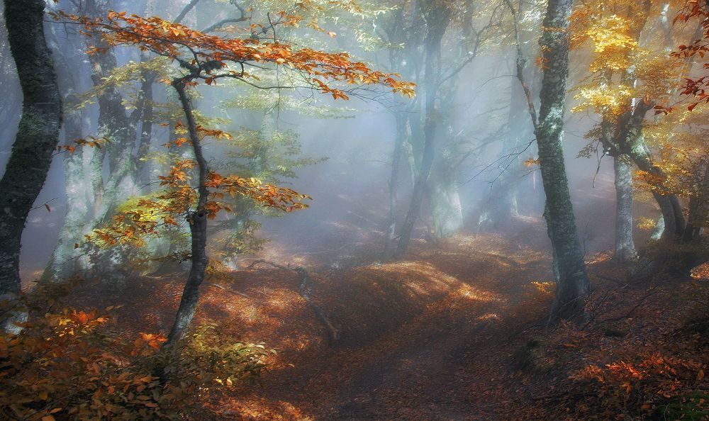 Волшебство осени