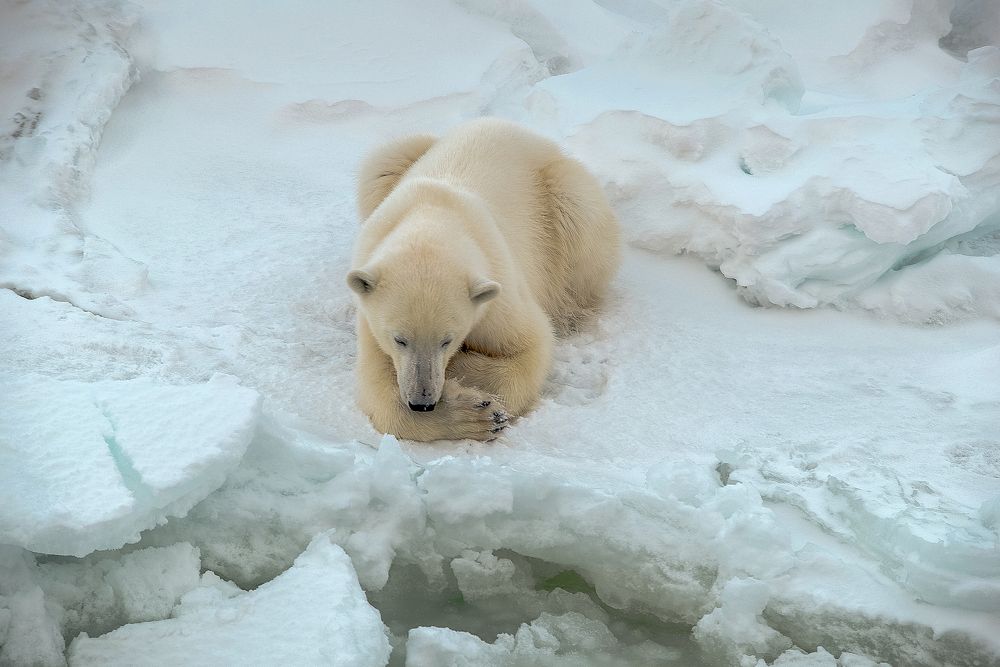 Посмотрим, кто терпеливей...