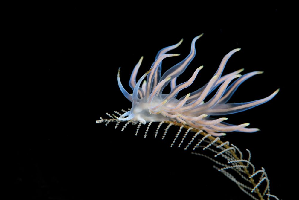 Photograph by Юрий Иванов