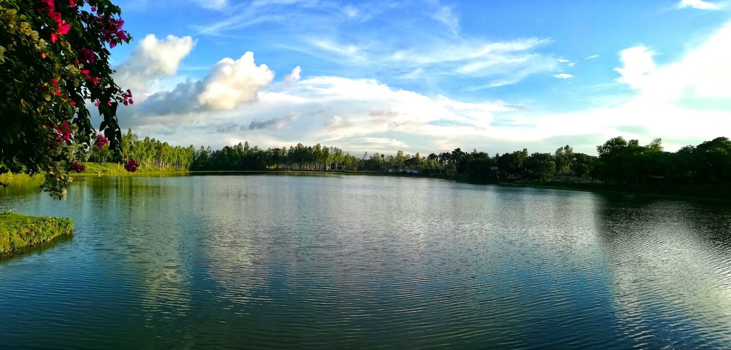 Just Like Paradise