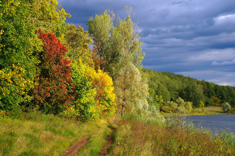 Краски осени