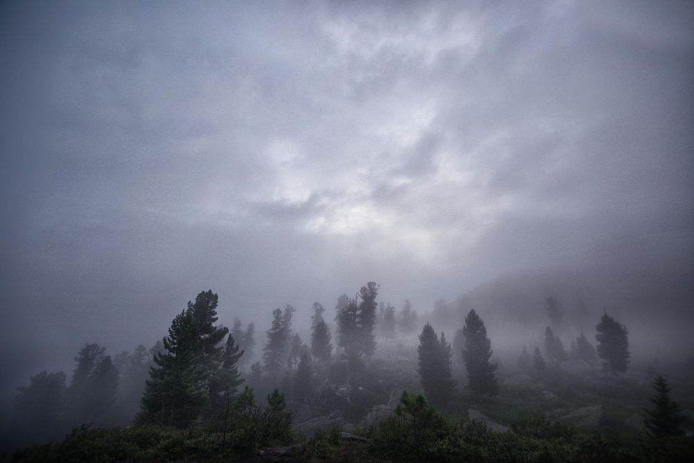 Добро пожаловать в...