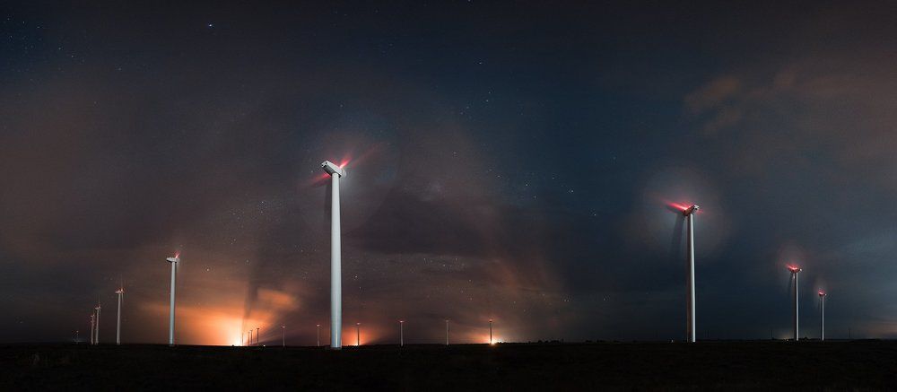 Ночные маргаритки