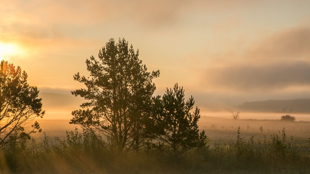 Рассвет осени.