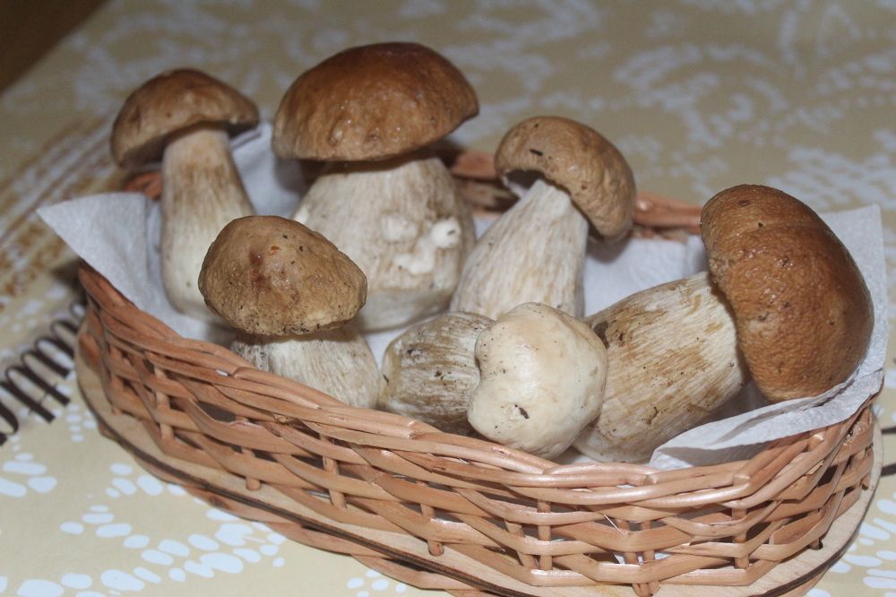 Осень вносит краски и уют в наши будни