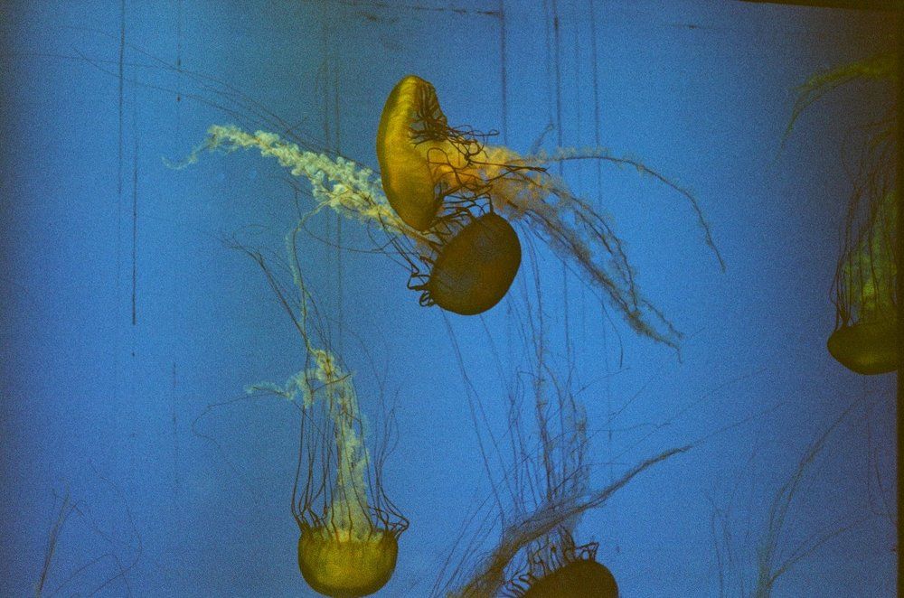 Photograph by Елизавета