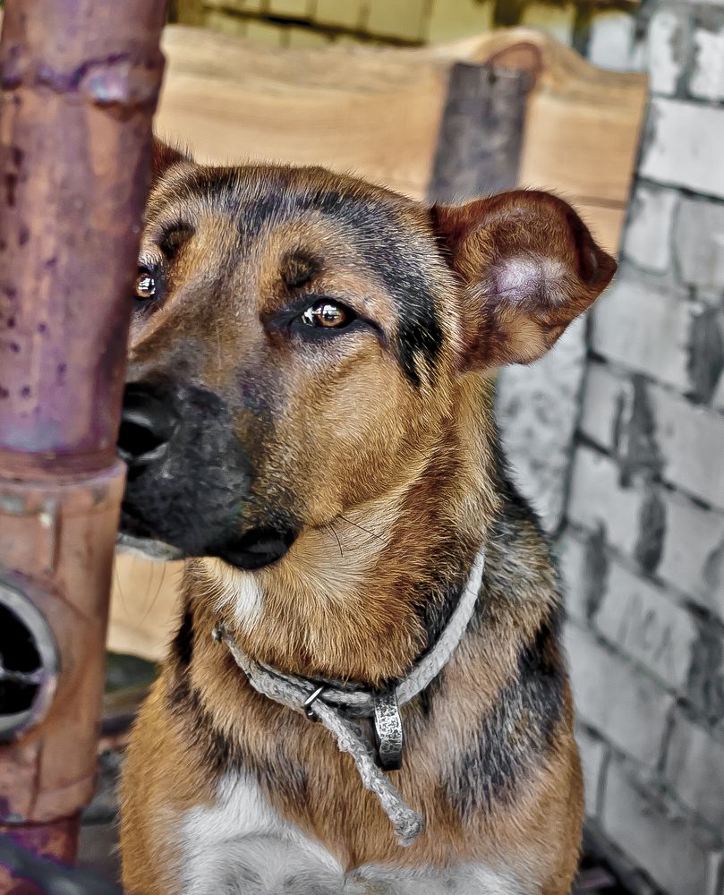 Его зовут Байкал