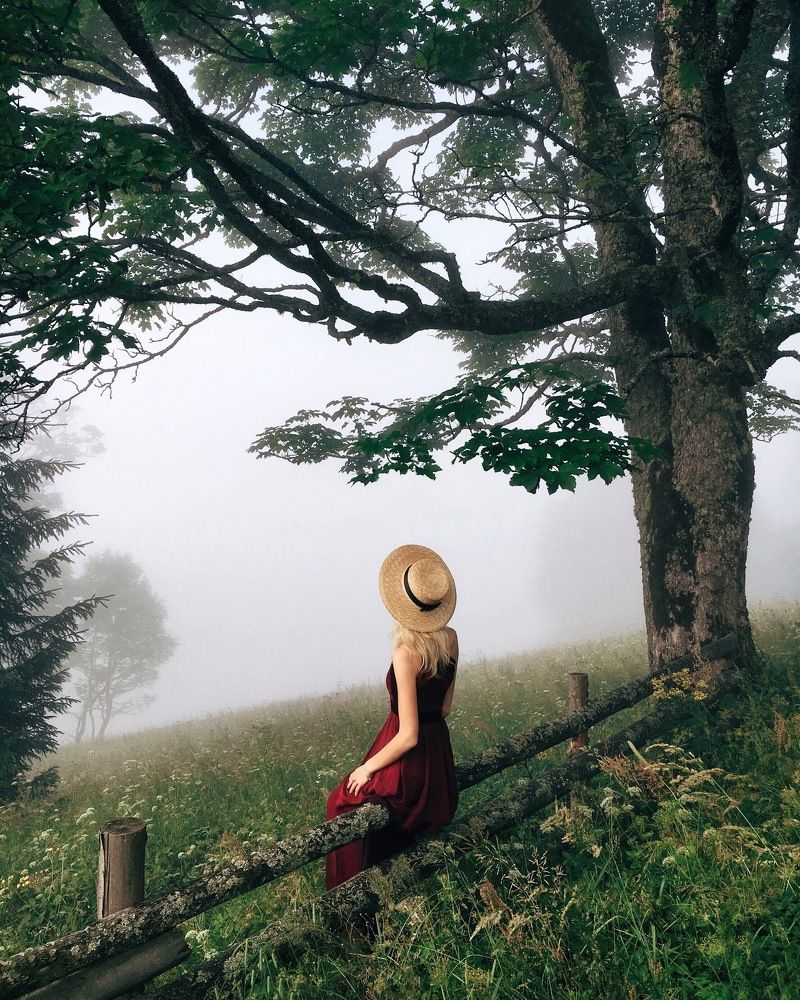 Утро в Карпатах