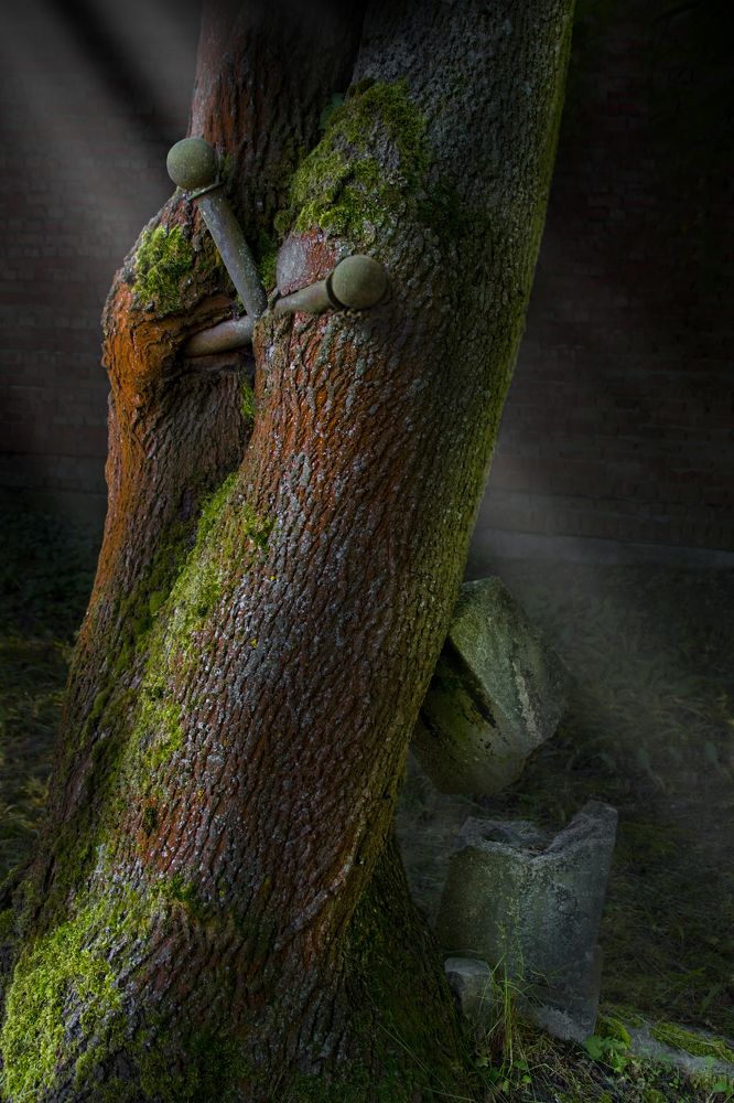 Жизнь и смерть.