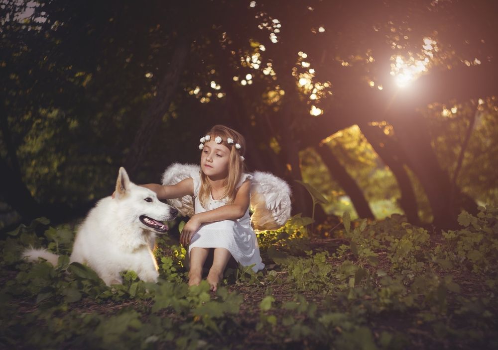 Ангел и Волк