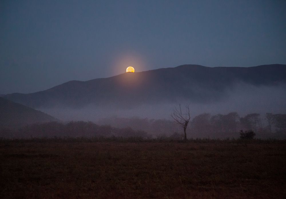 Рассвет. Луна покидает утреннее небо.