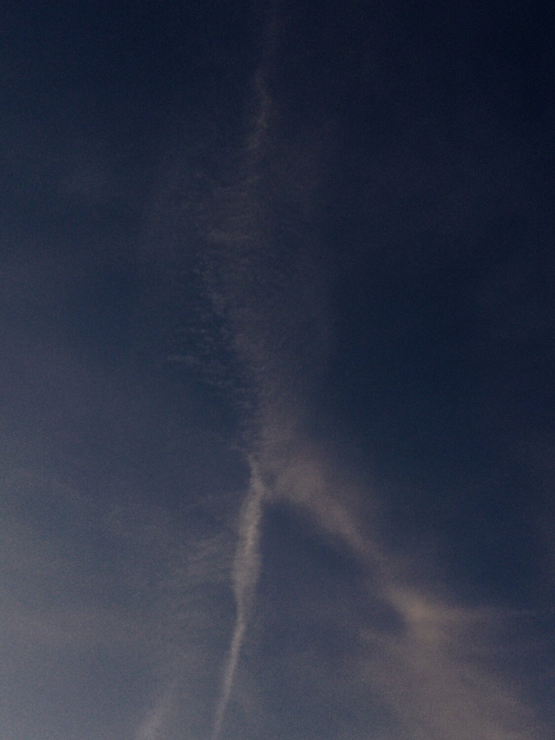 Photo #14250256