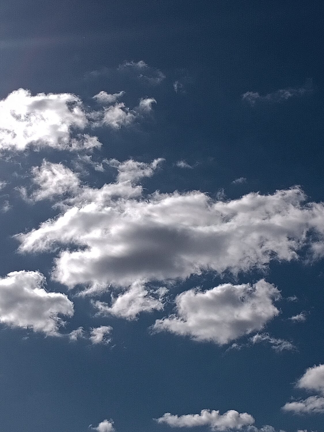 Photo #14250257