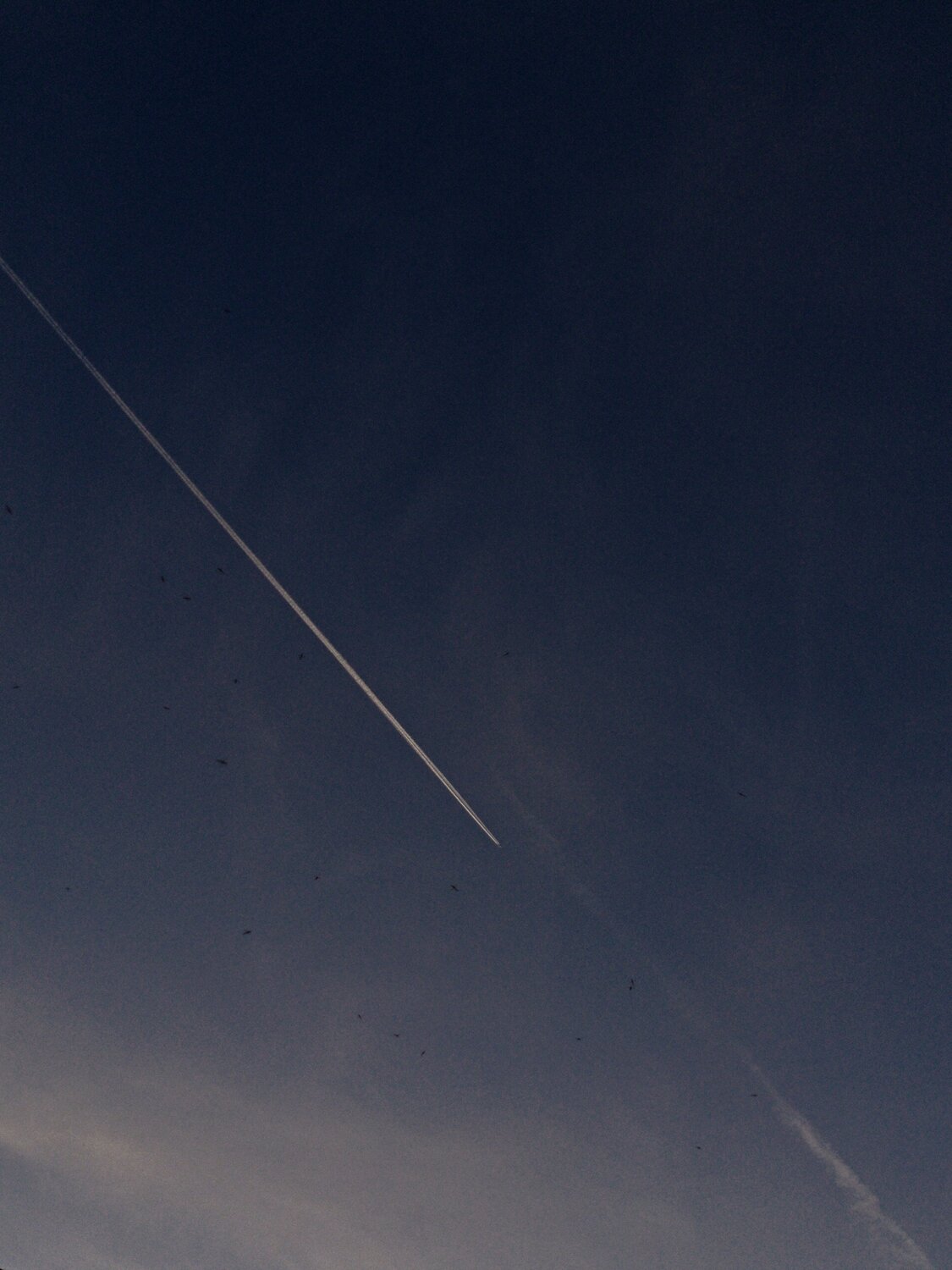 Photo #14250258