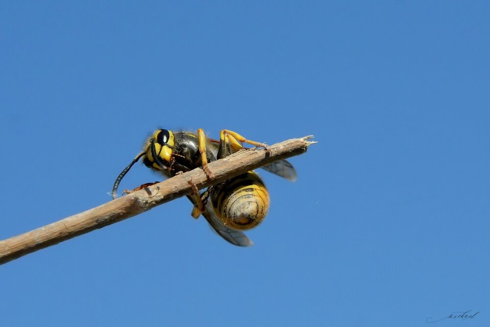 Photograph by DESPOINA BERSIMI
