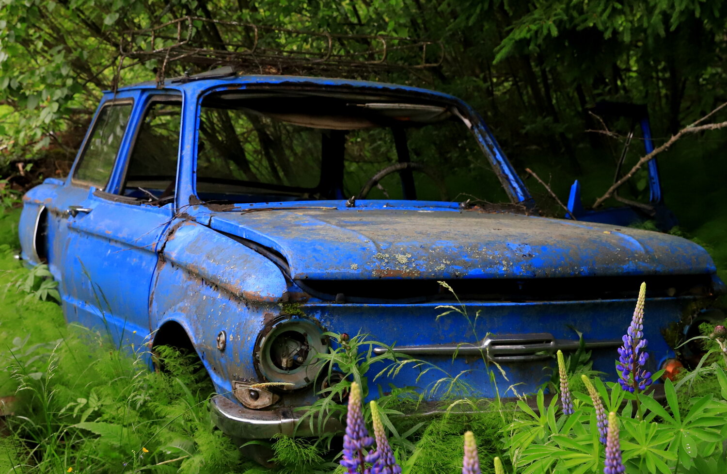 Photo #14250609