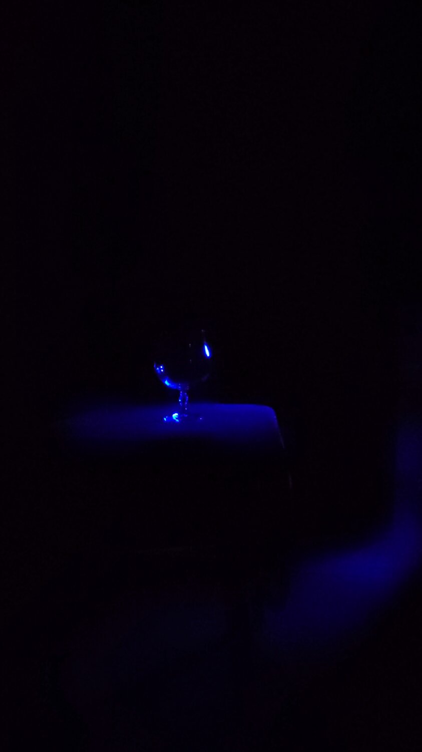 Photo #14250630