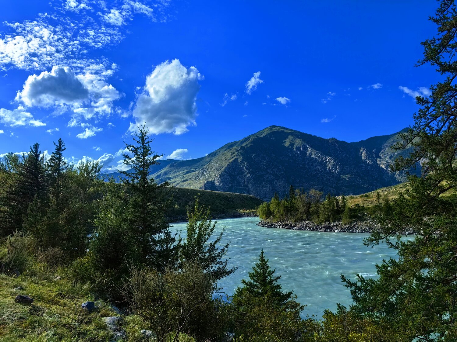Photo #14250644