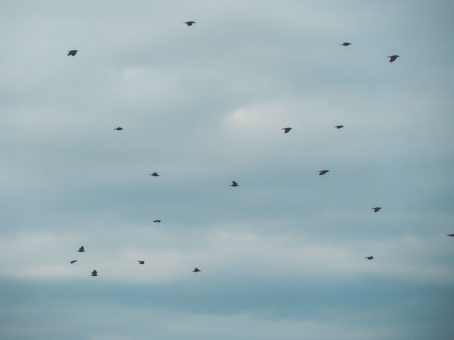 Photo #14250811