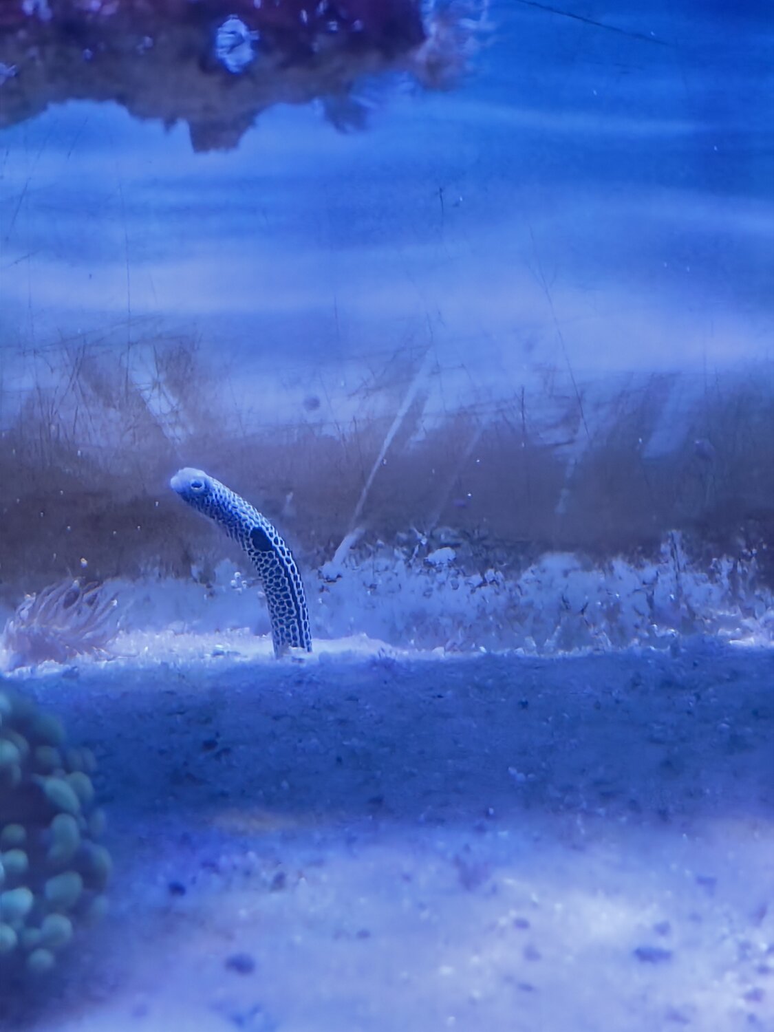 Photo #14251307