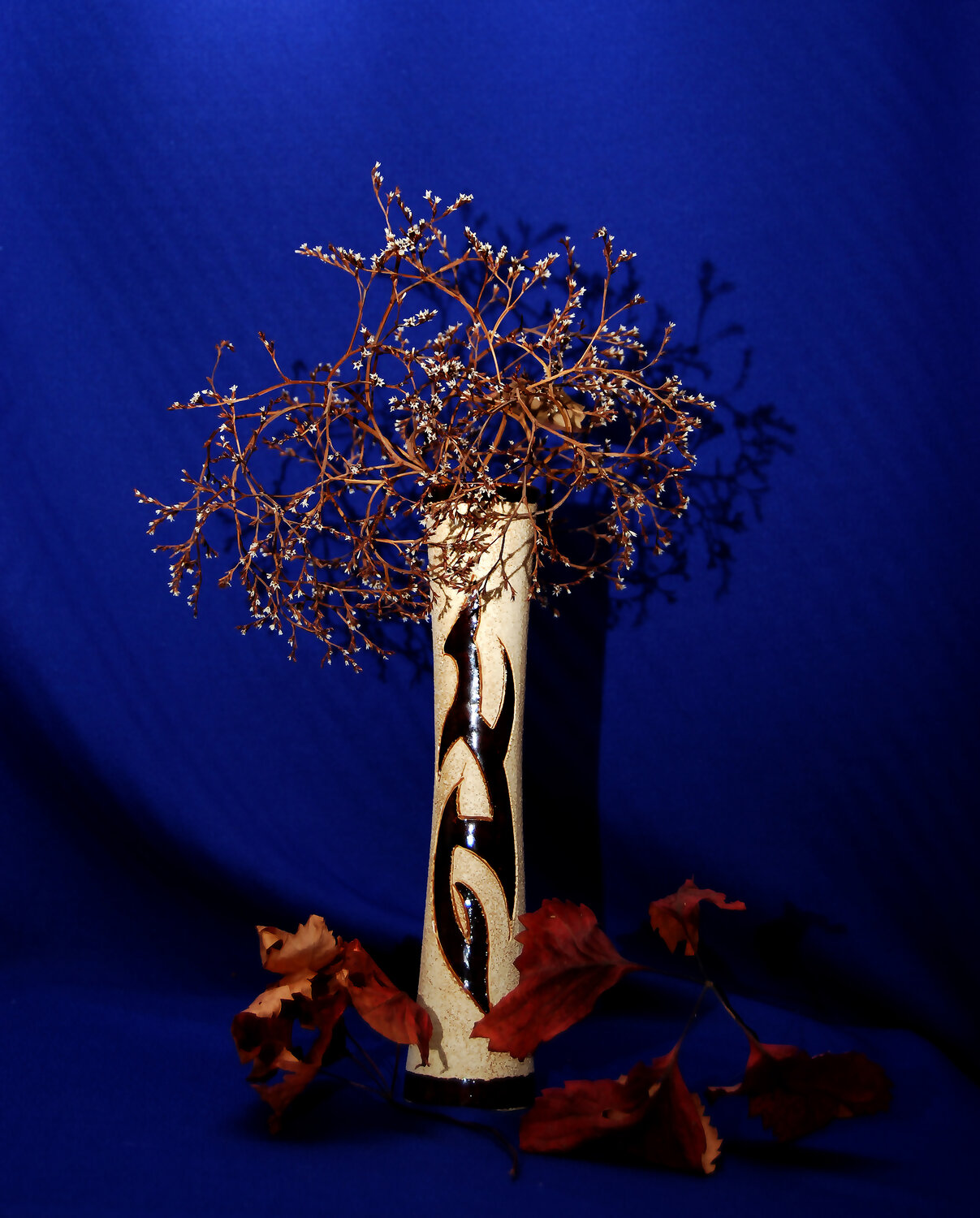Photo #14251339