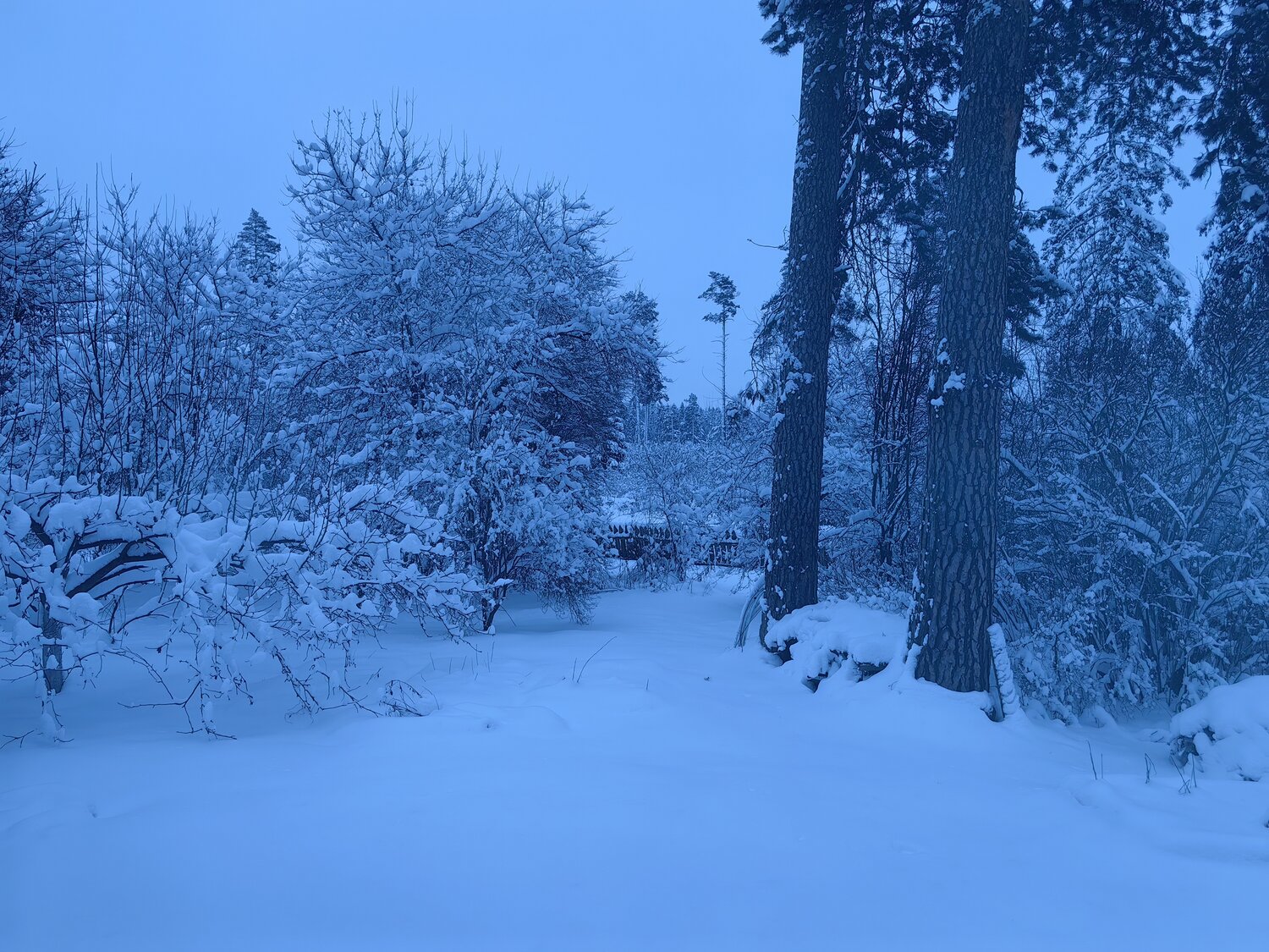 Photo #14251361