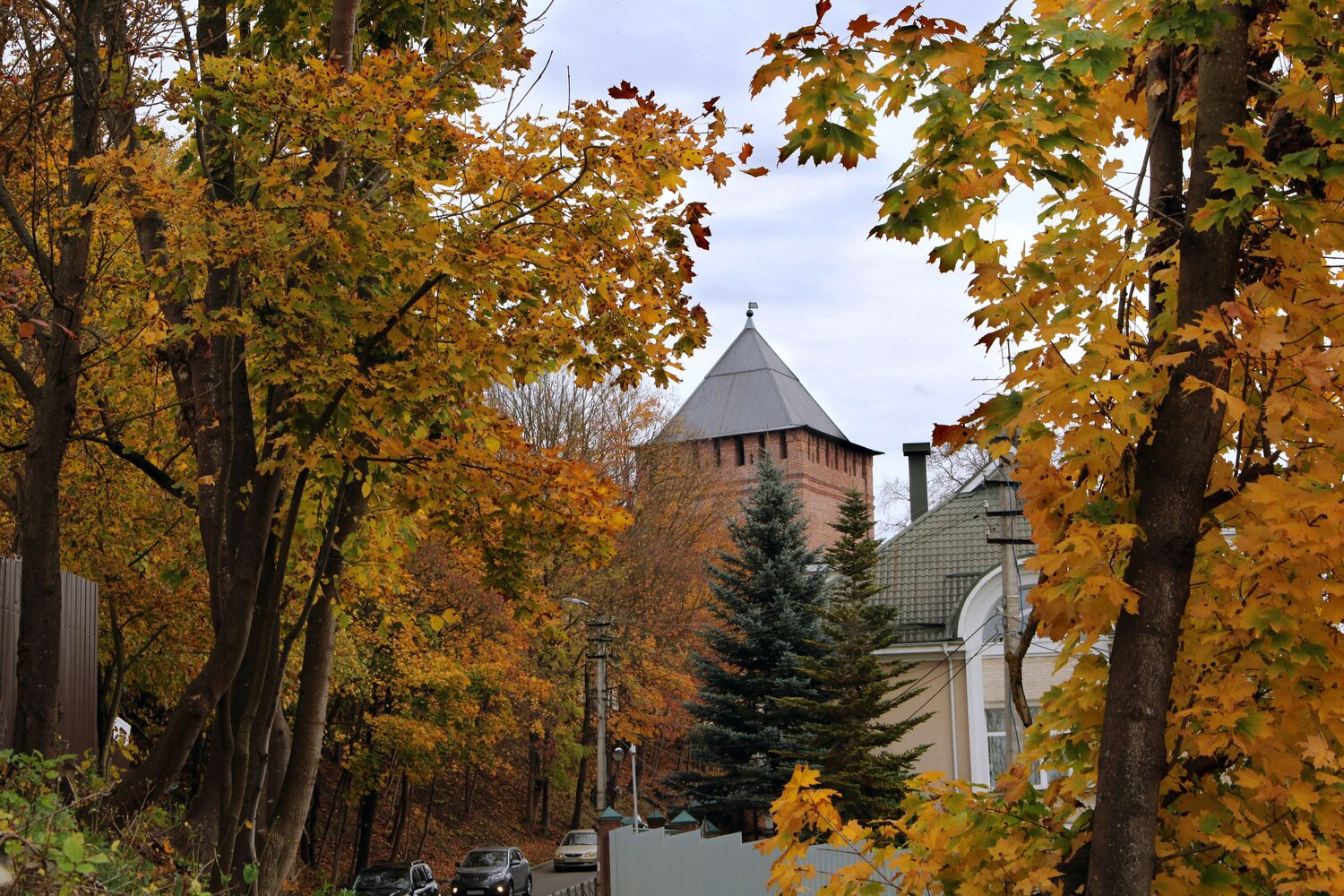 Photo #14251449