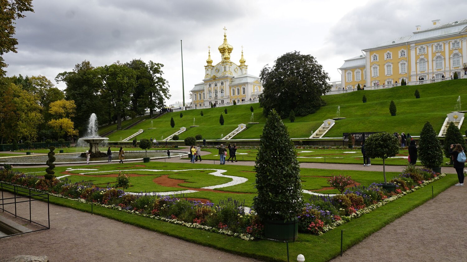 деревья в Петергофе