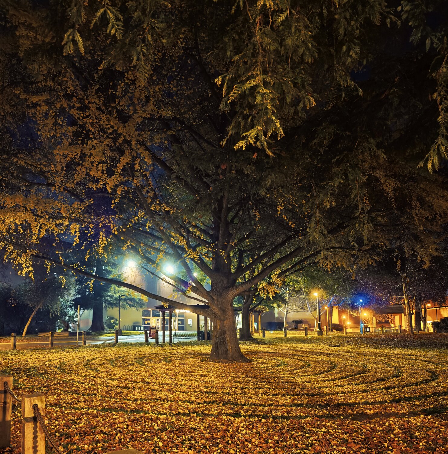 Photo #14252108
