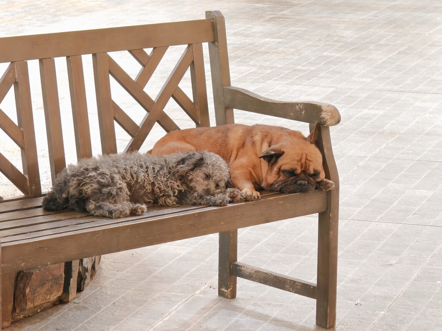 Photo #14252166