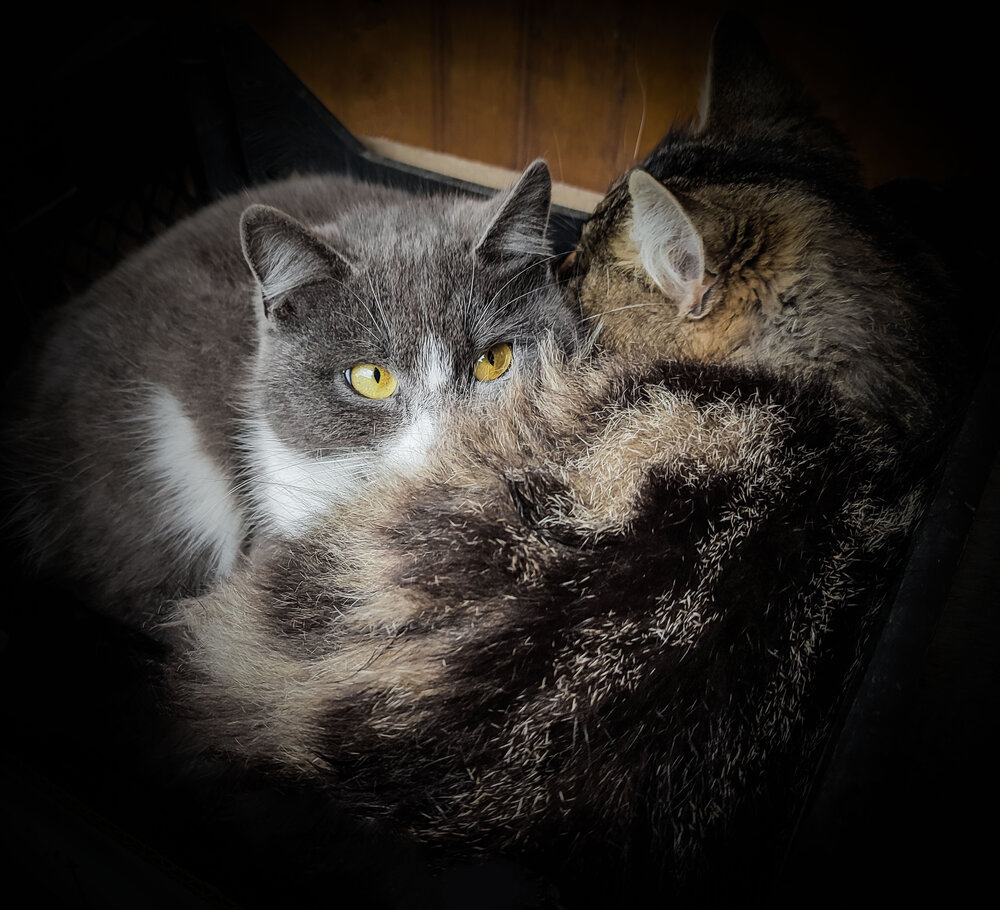 Я смотрю на тебя... / I\'m Looking At You...