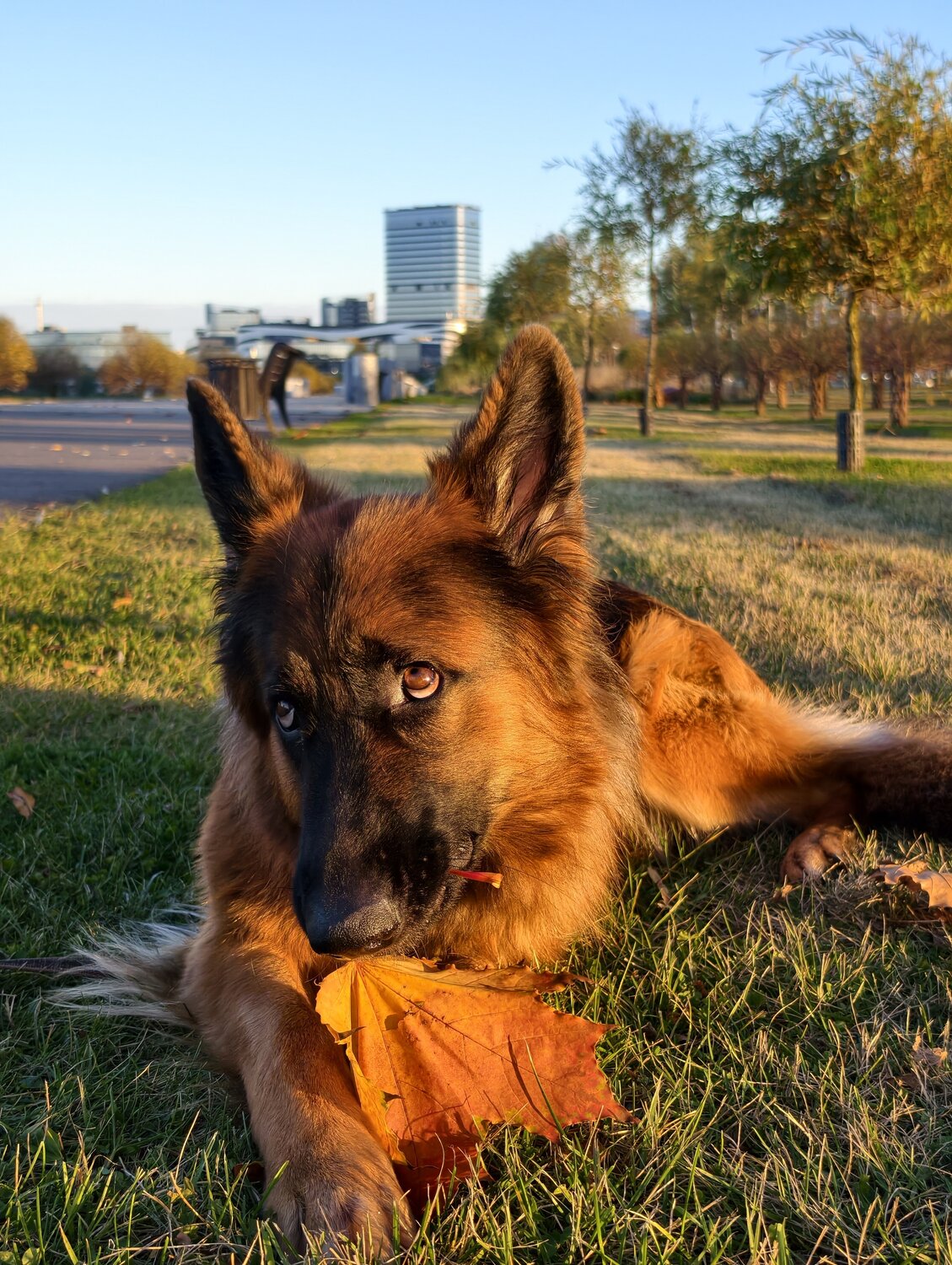 Photo #14254899