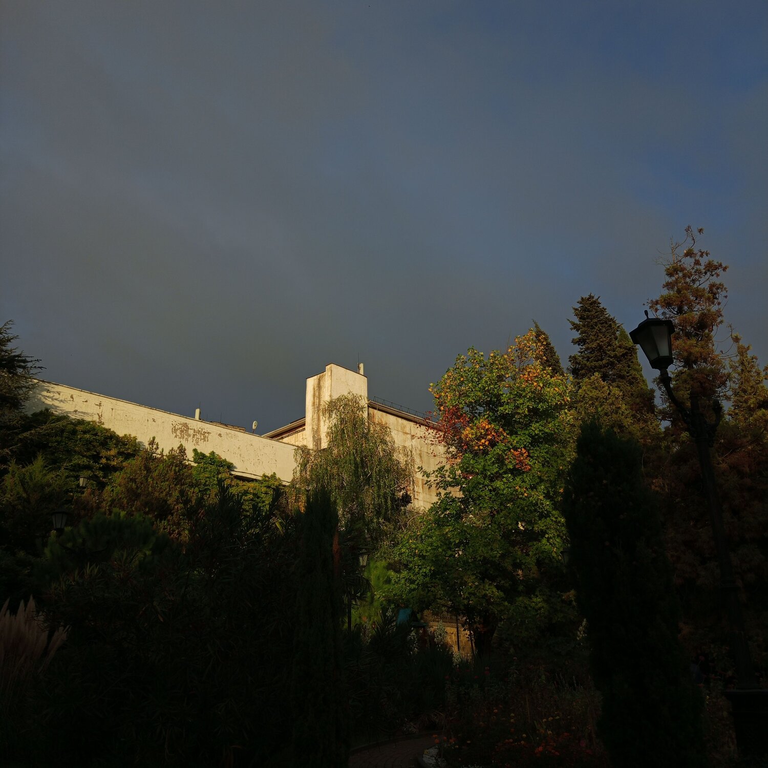 Photo #14255197