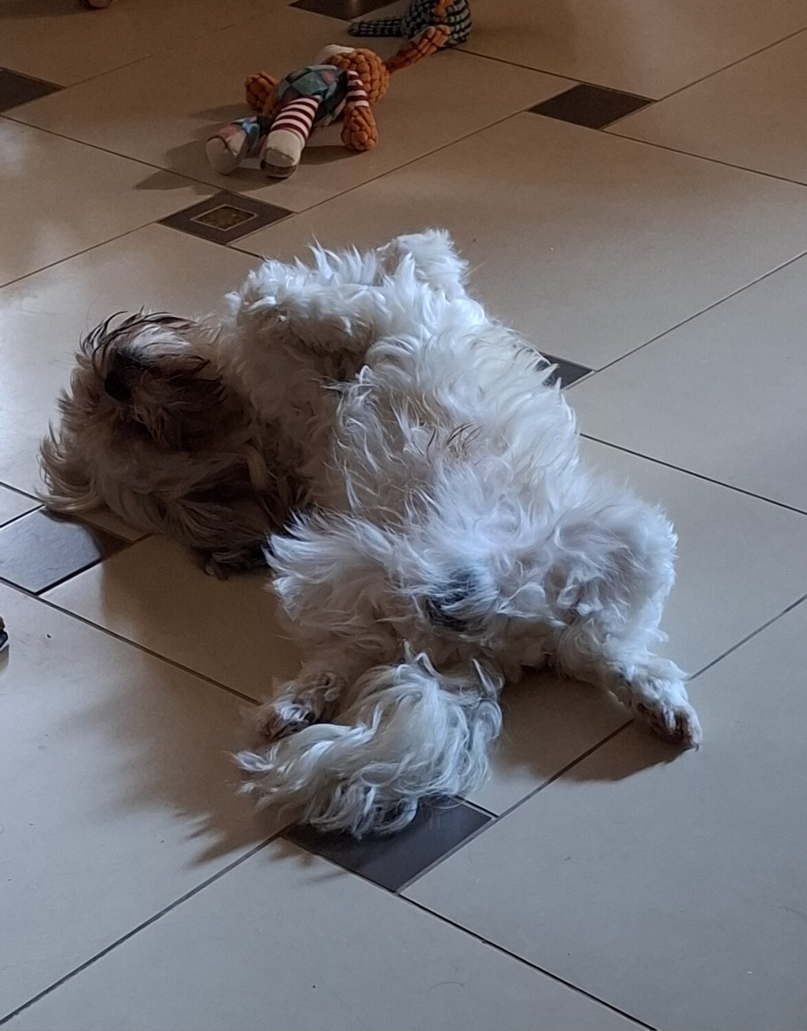 Photo #14255770