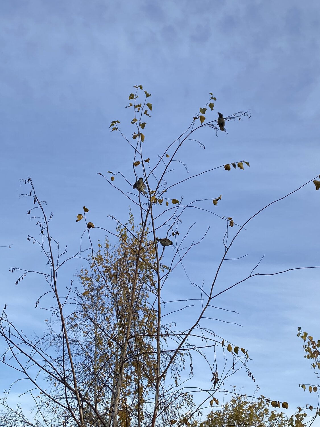 Photo #14255976