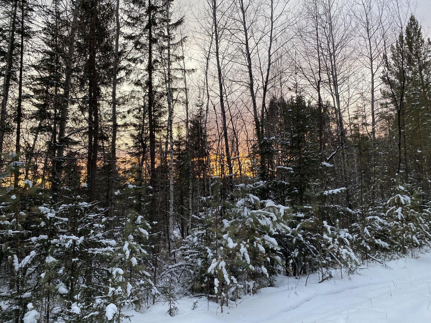 Photo #14256058