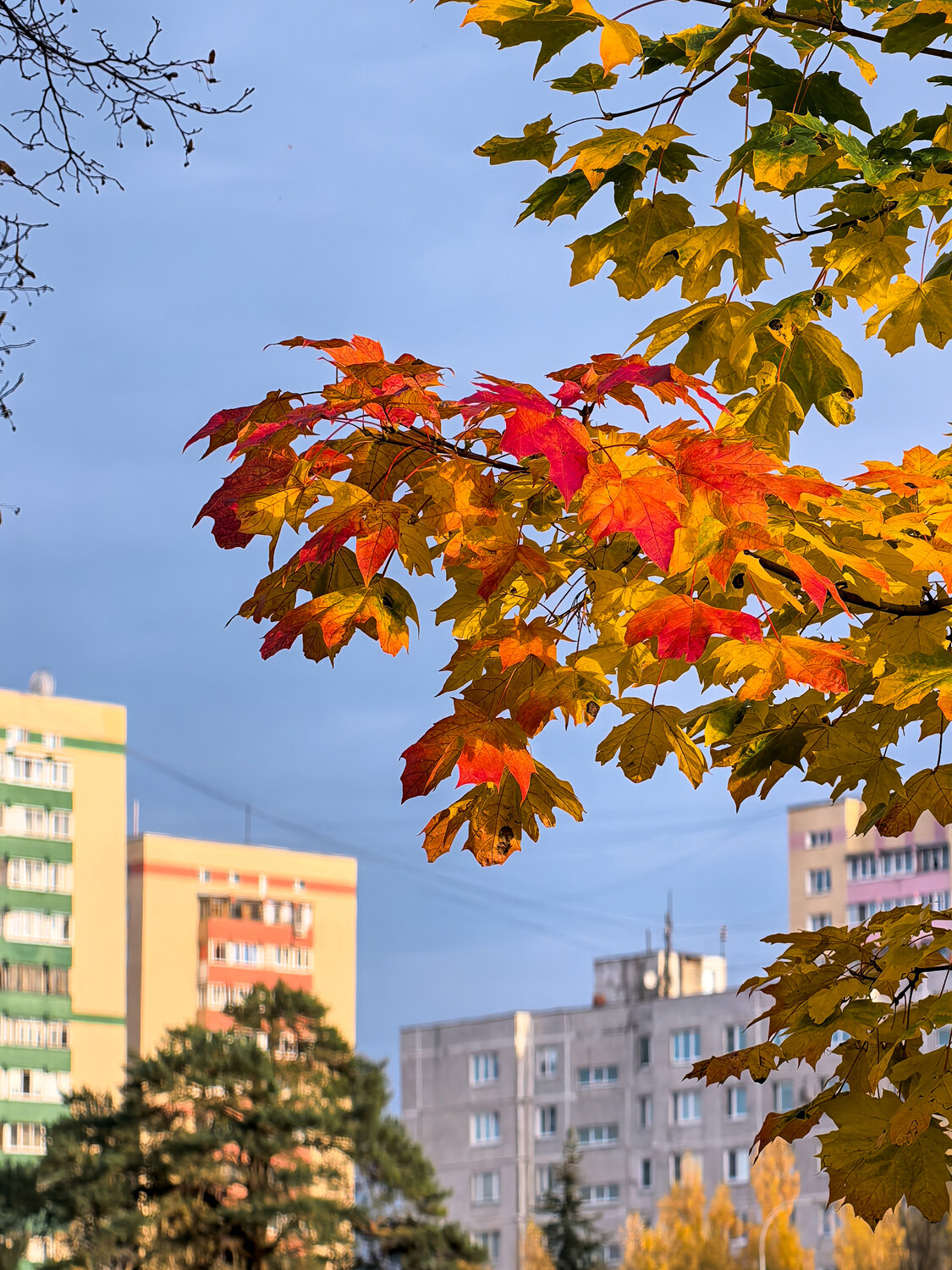 Осень в городе