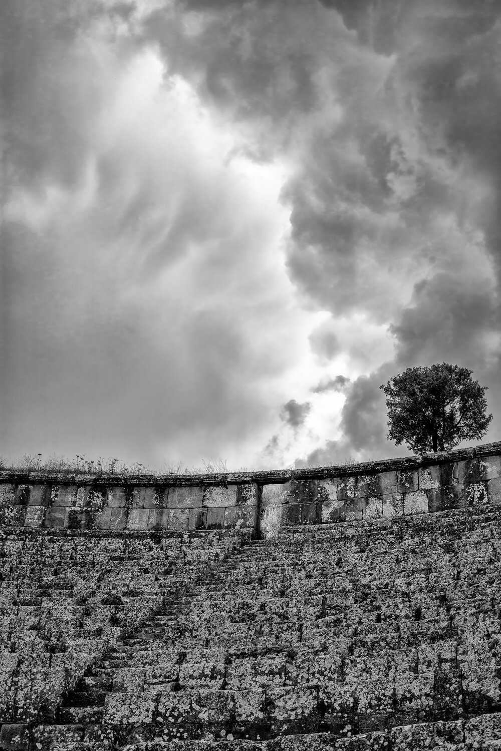 The Sentinel of Cuicul