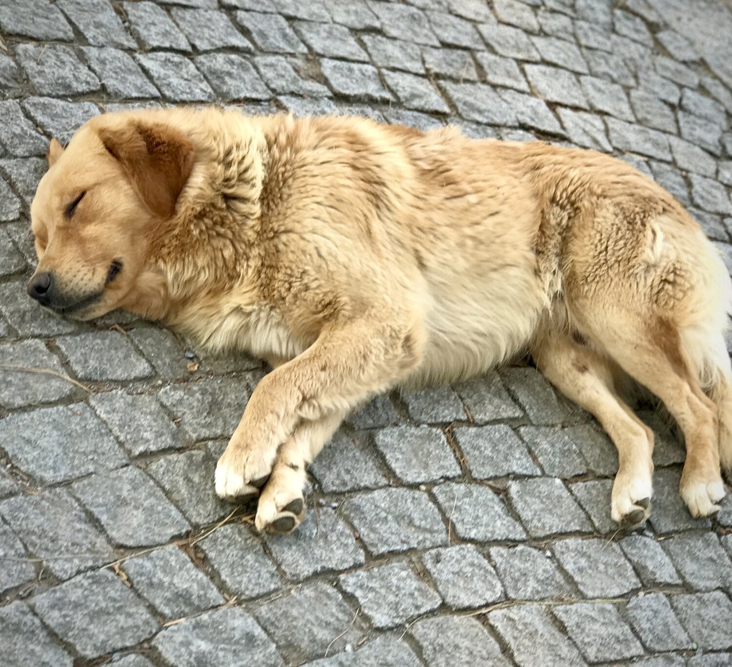 A Moment of Rest