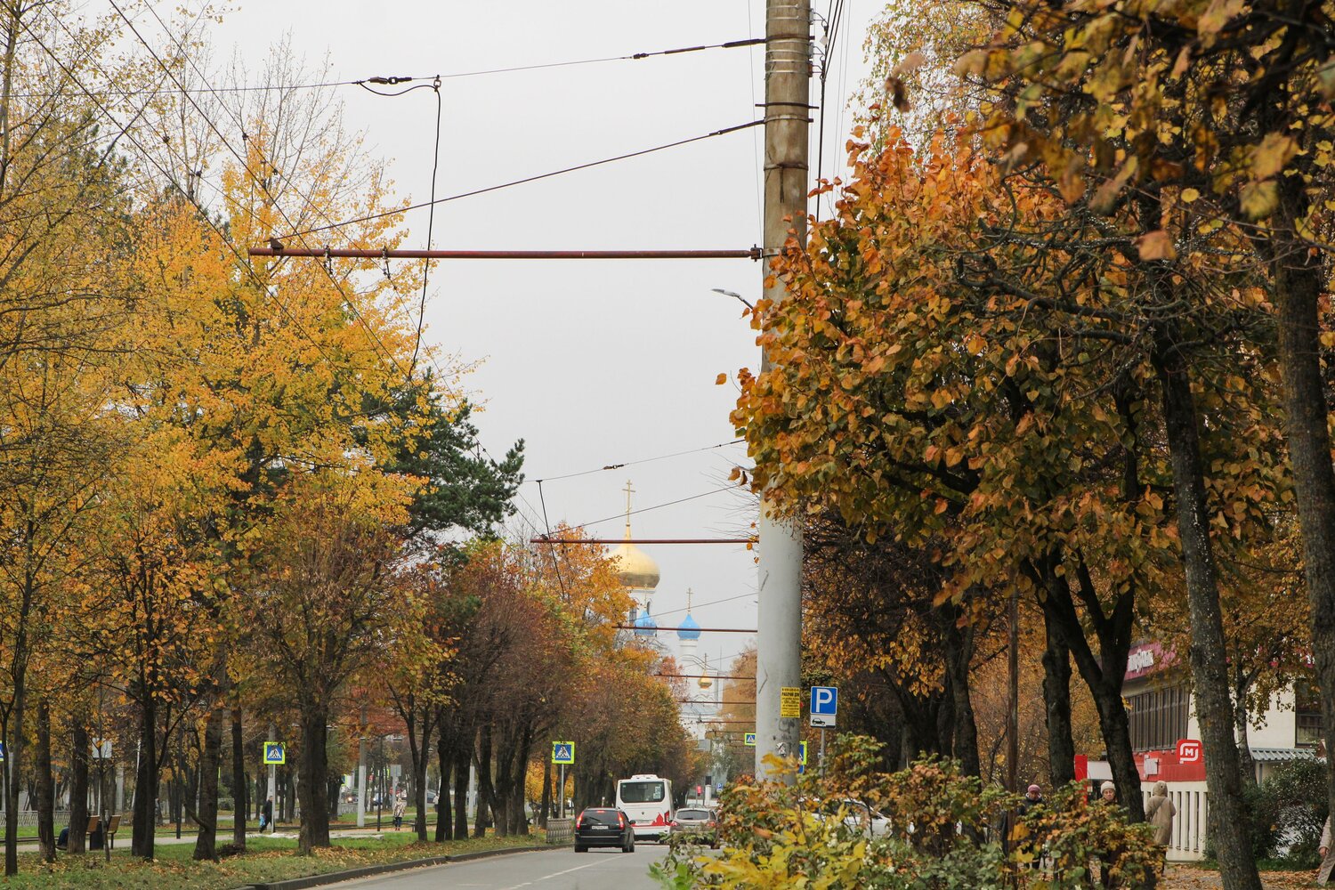 Photo #14258922