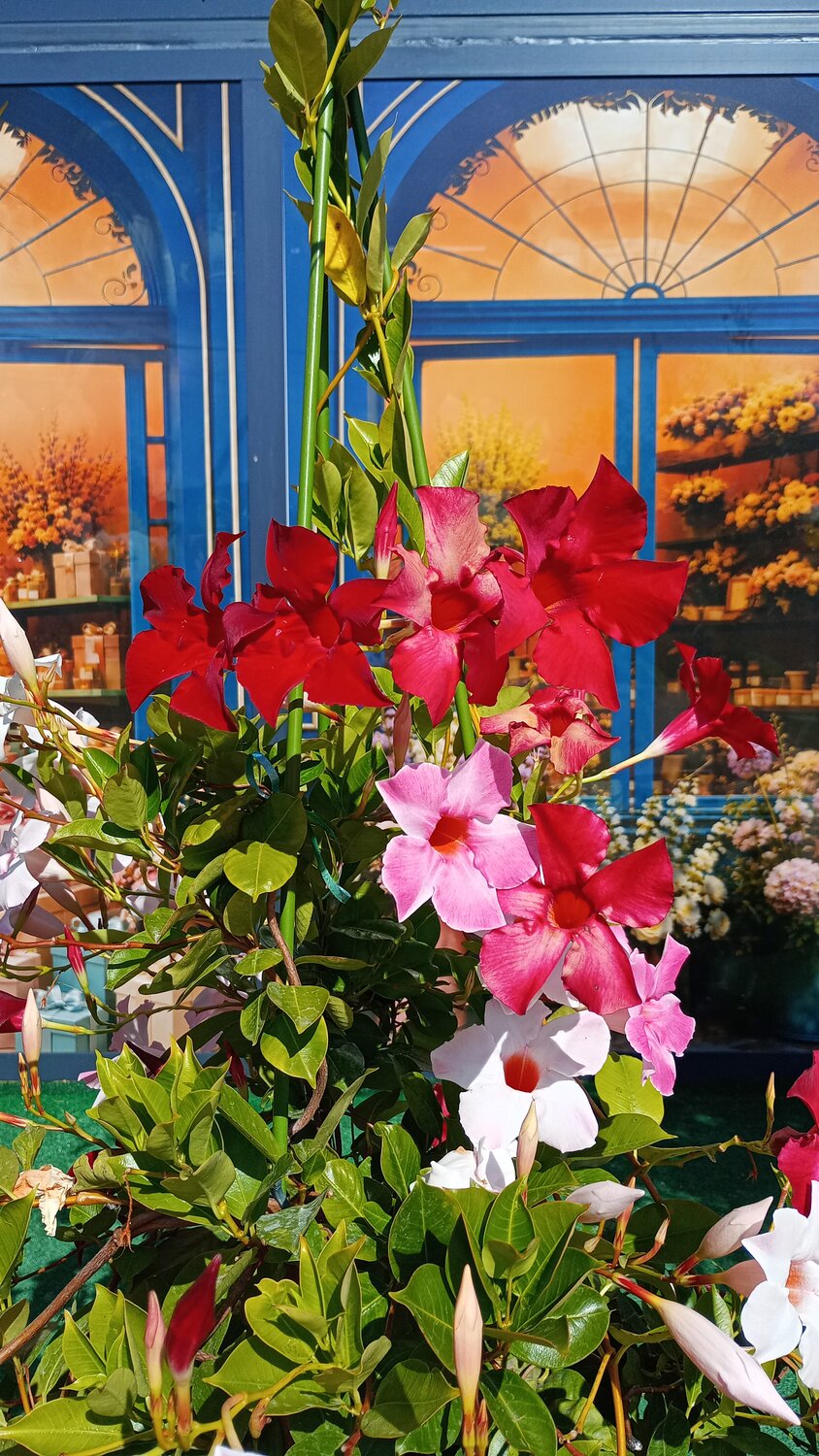 Photo #14259678