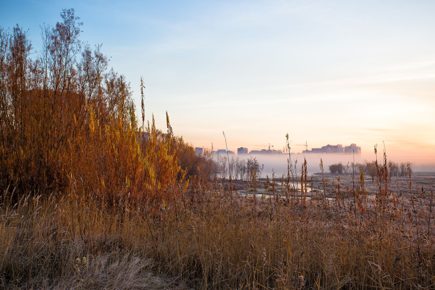 Осенний туман в городе.