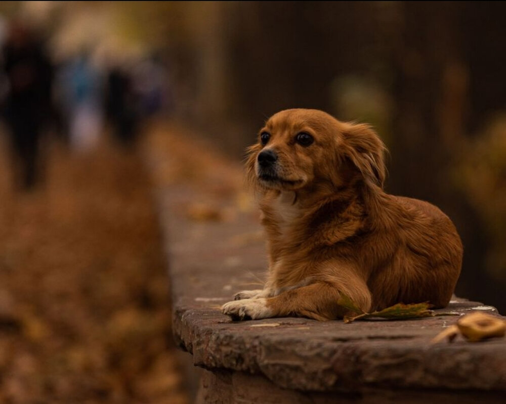 Photo #14259968
