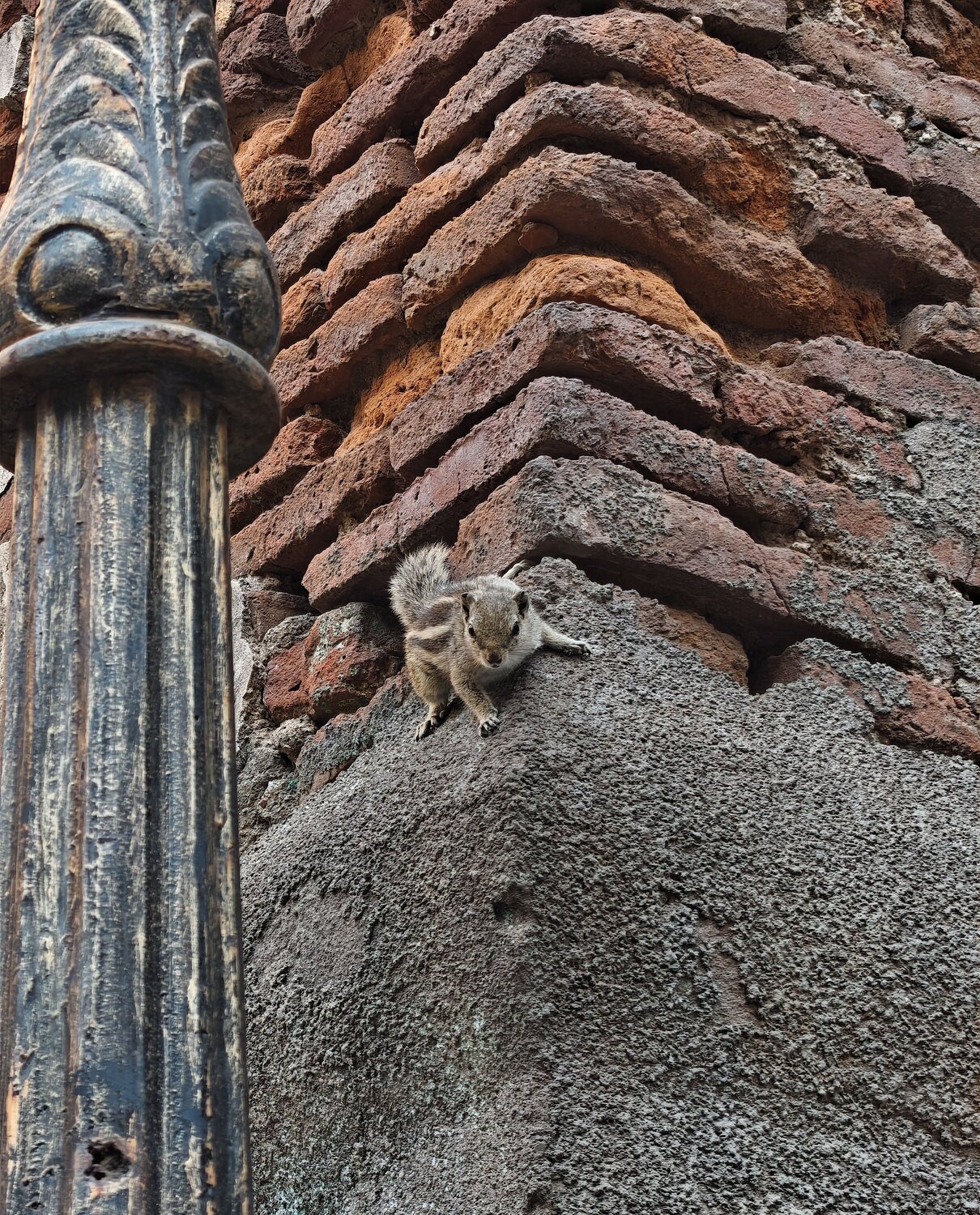 A Small Life in Ancient Walls