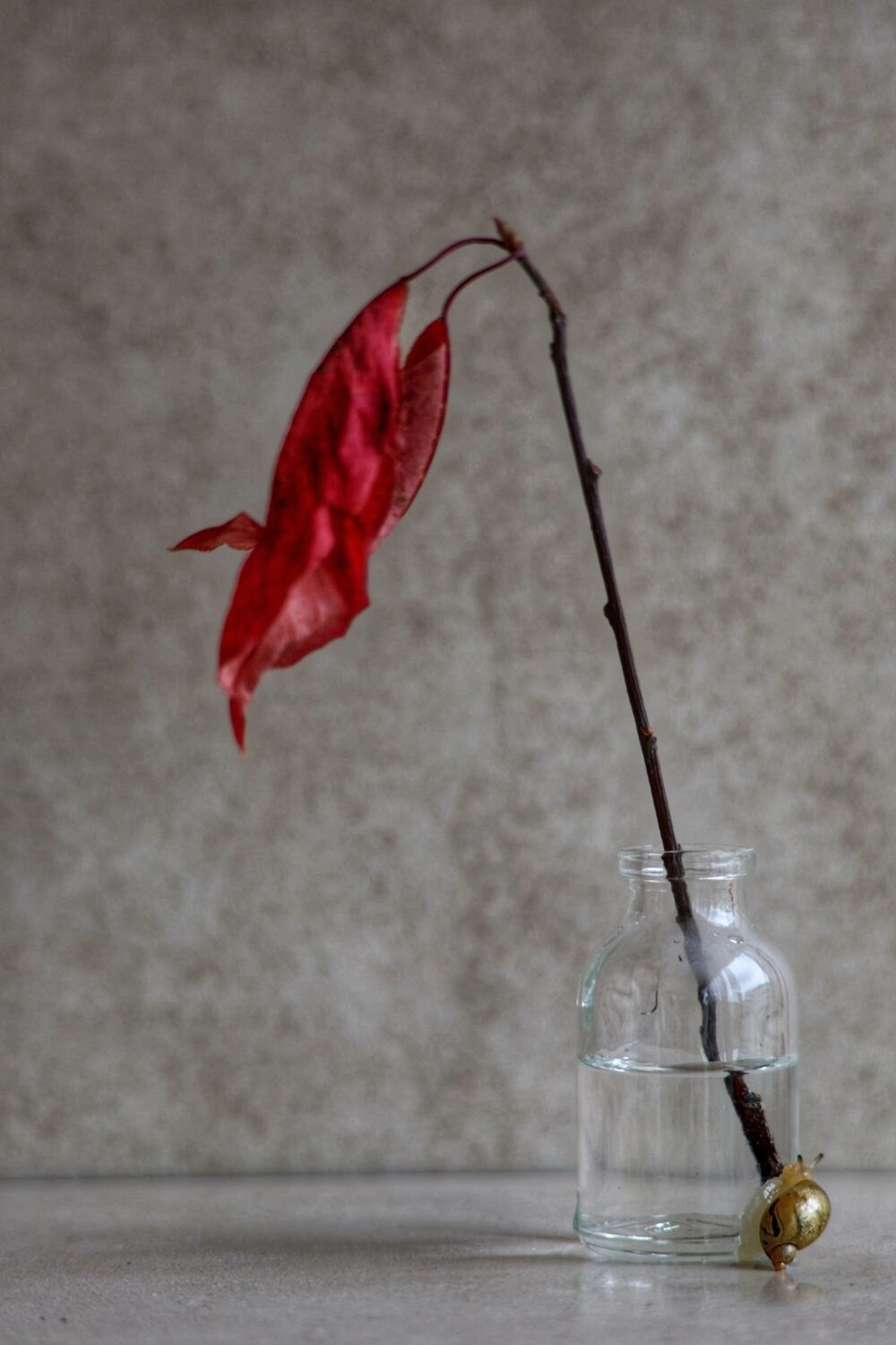 Photo #14263018