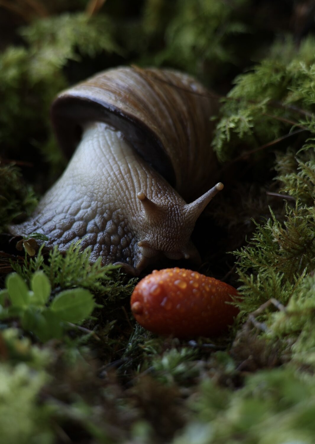 Photo #14263307