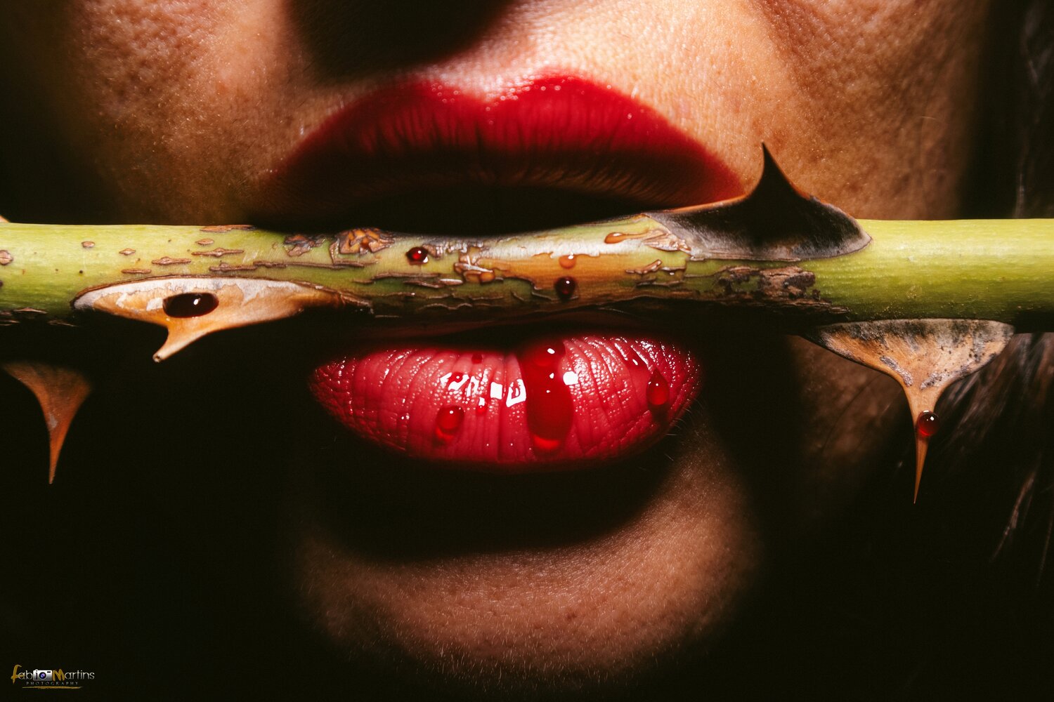 Photo #14264094