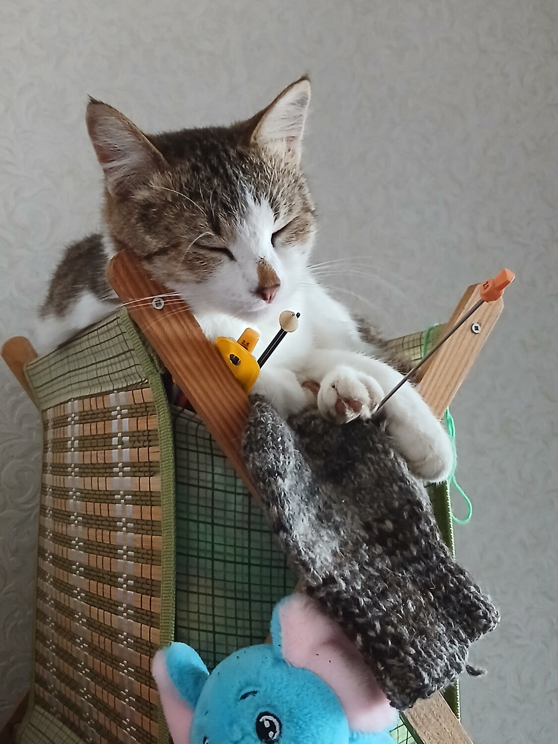 Photo #14264528