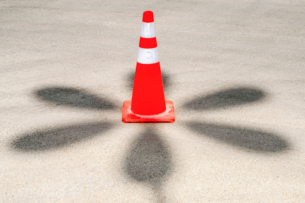 Cone Bloom
