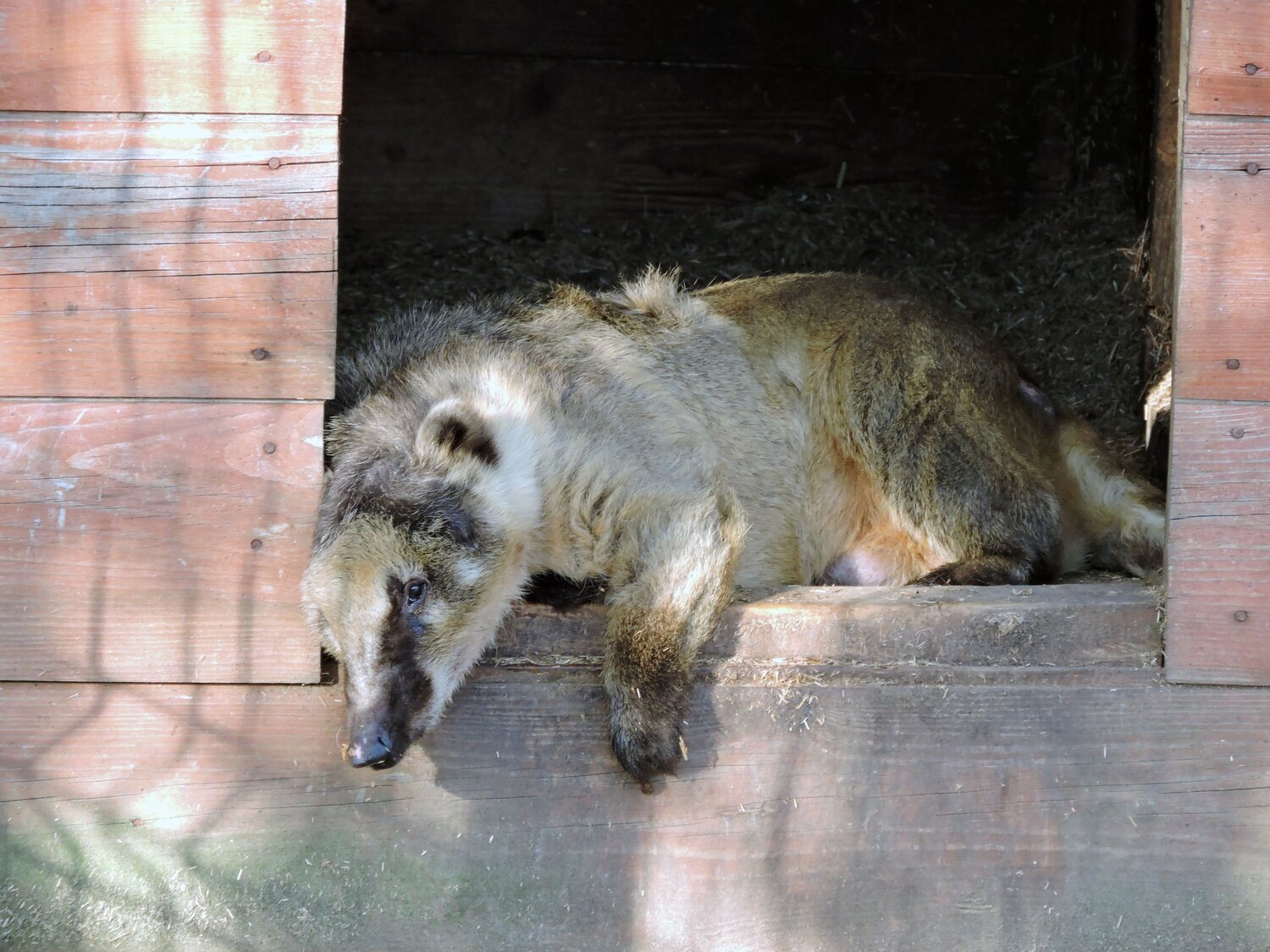 Photo #14266102